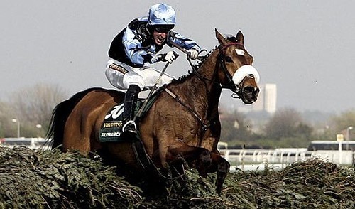 Horse racing picks today: Our best bets on the day's events 2 grand national horse racing picks
