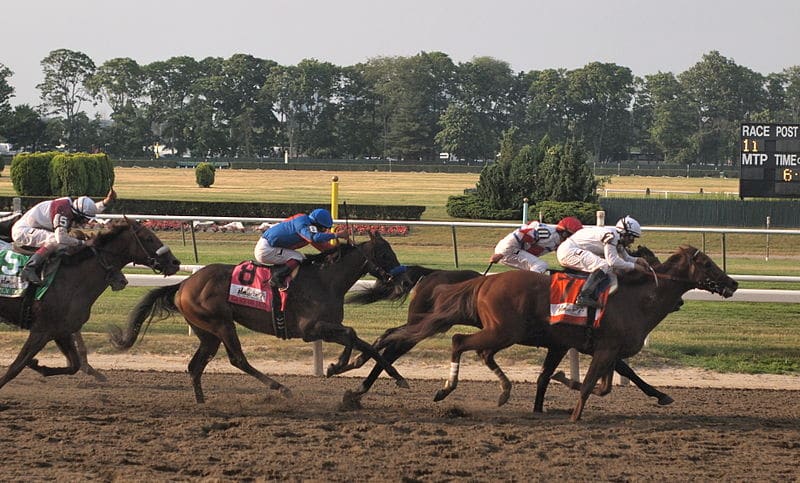 belmont stakes triple crown race