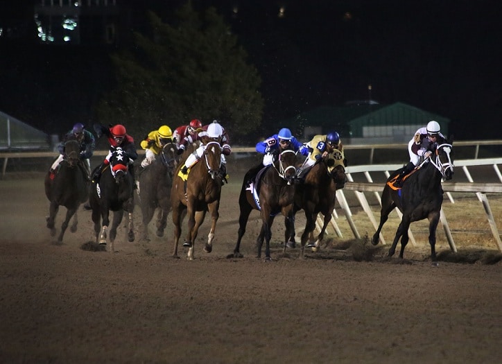 Horse racing picks today