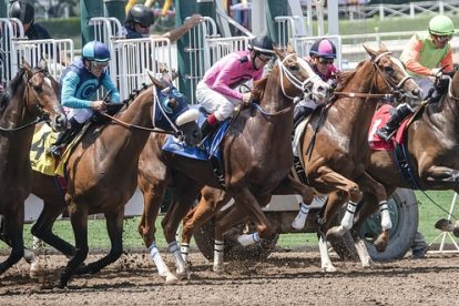 Horse racing live streams: How to watch events in the US