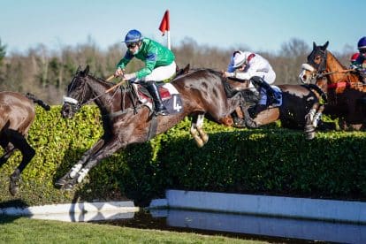 How to bet on the Melbourne Cup: A beginner’s guide