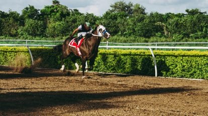 Deauville Legend: Who is the Melbourne Cup favourite?