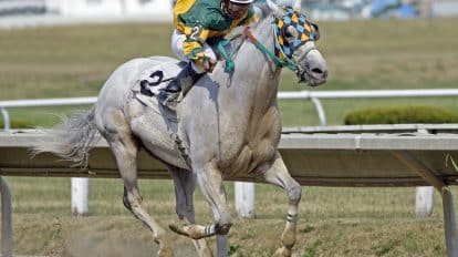 Melbourne Cup 2022 runners and jockeys: The whole field analysed