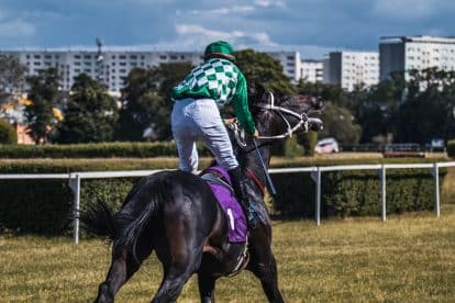 Melbourne Cup scratchings: Loft withdraws, added to non-runners list