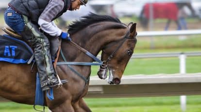 Melbourne Cup betting tips: Our predictions for the 2022 race