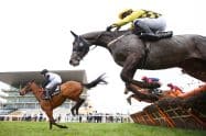 Champion Hurdle History: All Past Winners and Trends
