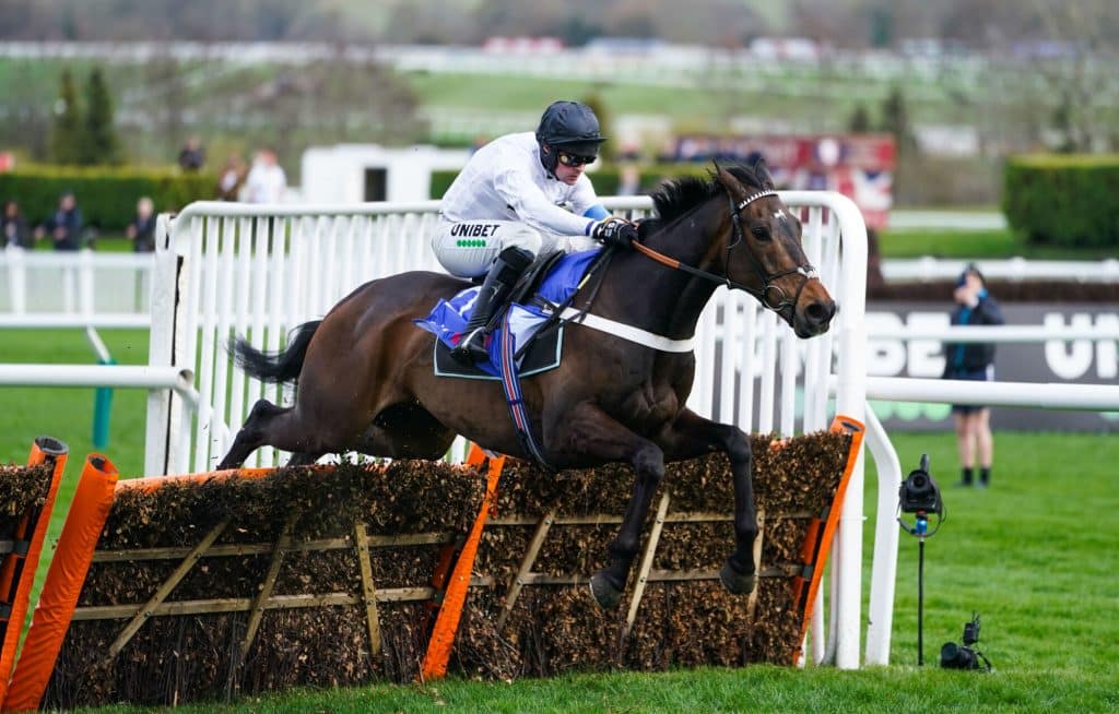 Constitution Hill odds today: Where to get the best price on the red-hot favourite 4 constitution hill odds