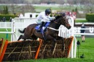 Constitution Hill odds today: Where to get the best price on the red-hot favourite