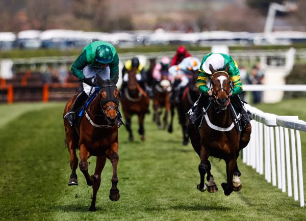 Delta Work Odds: Cheltenham Cross Country Chase Winner Moves to 2nd Favourite 1 Grand National Delta Work Odds