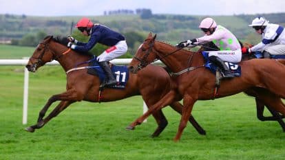 Grand National 2023: Sweepstake – Run Your Own Office or Family Sweep with This Kit