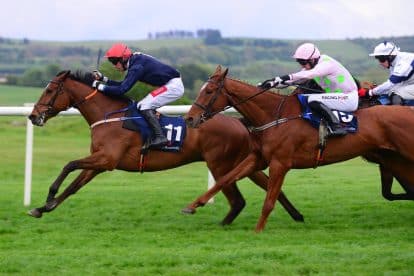 Grand National 2023: Sweepstake &ndash; Run Your Own Office or Family Sweep with This Kit