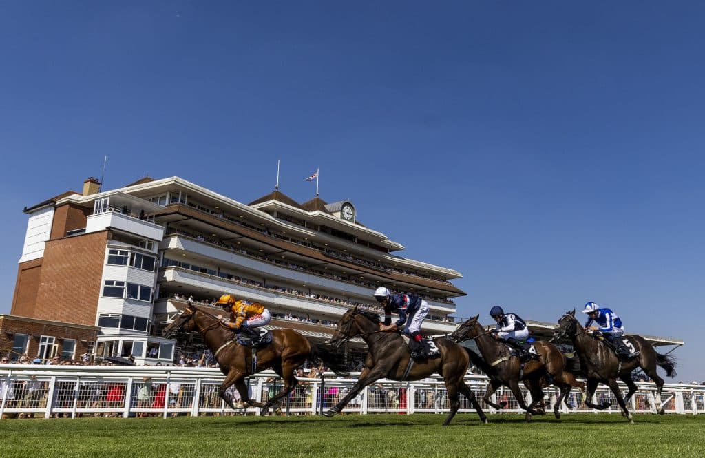 3.15 Newbury tips: Revich ready for Spring Cup 1 Newbury Tips