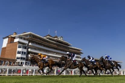 3.15 Newbury tips: Revich ready for Spring Cup