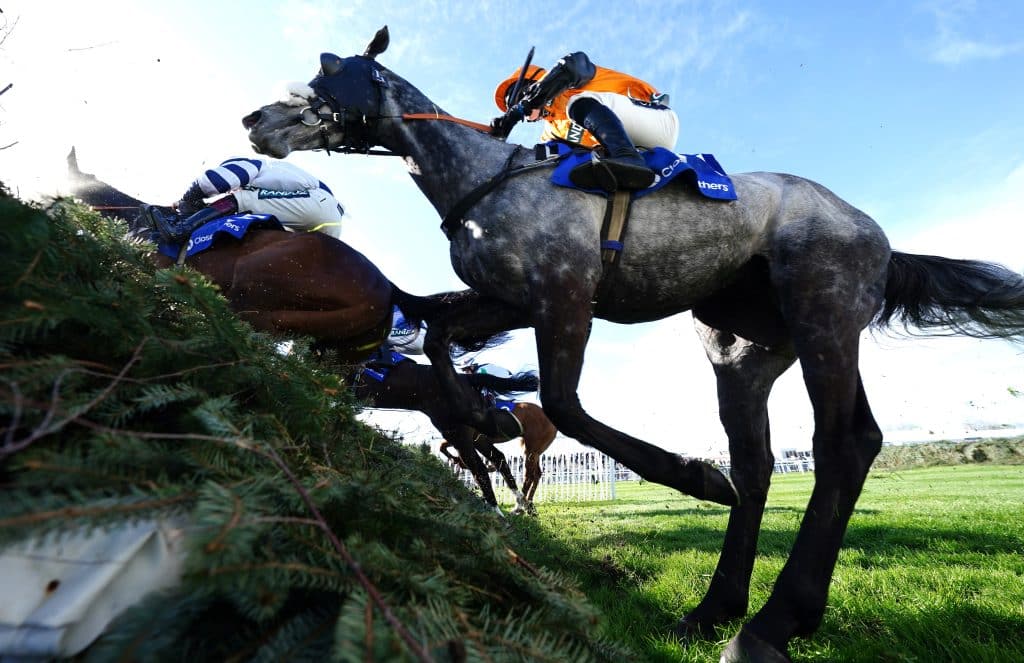 1.15 Ayr tips: Hasankey hard to fault 1 Ayr Tips