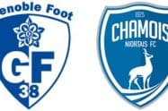 Grenoble vs Niort Prediction, Betting Odds and Free Tips 29/04/2023