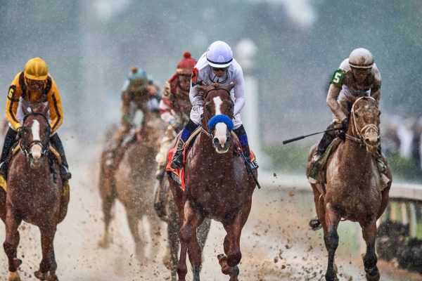 Preakness Stakes contenders and expert picks: Our analysis of the full field 1 2023 Preakness Stakes