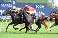 The Queen Elizabeth II Jubilee Stakes Tips and Predictions