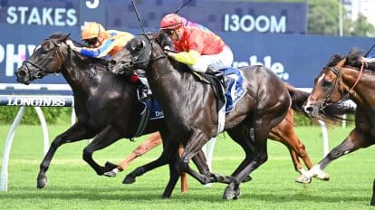 The Queen Elizabeth II Jubilee Stakes Tips and Predictions