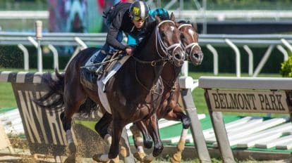 Belmont Stakes Horses 2023: The Complete Field and Lineup