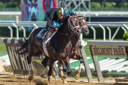 Belmont Stakes Horses 2023: The Complete Field and Lineup