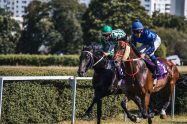 Belmont Stakes 2023 Preview: All You Need to Know About the Race
