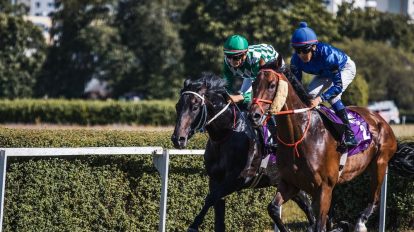 Belmont Stakes 2023 Preview: All You Need to Know About the Race