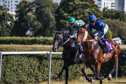 Belmont Stakes 2023 Preview: All You Need to Know About the Race