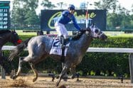 Belmont Stakes 2023 Betting Tips and Predictions