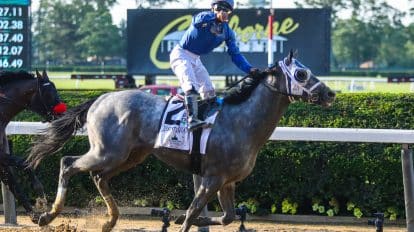 Belmont Stakes 2023 Betting Tips and Predictions