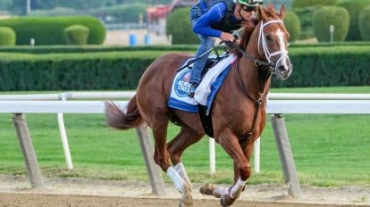 Belmont Stakes 2023 Prize Money: How Much Will the Winner Get