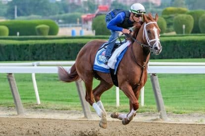 Belmont Stakes 2023 Prize Money: How Much Will the Winner Get
