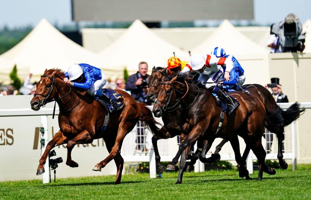 King’s Stand Stakes Tips and Predictions 2023