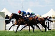 The Coronation Stakes Tips and Predictions 2023