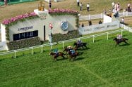 The Wokingham Stakes Tips and Predictions 2023