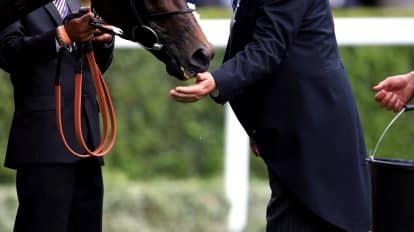 The Prince of Wales’s Stakes Tips and Predictions 2023