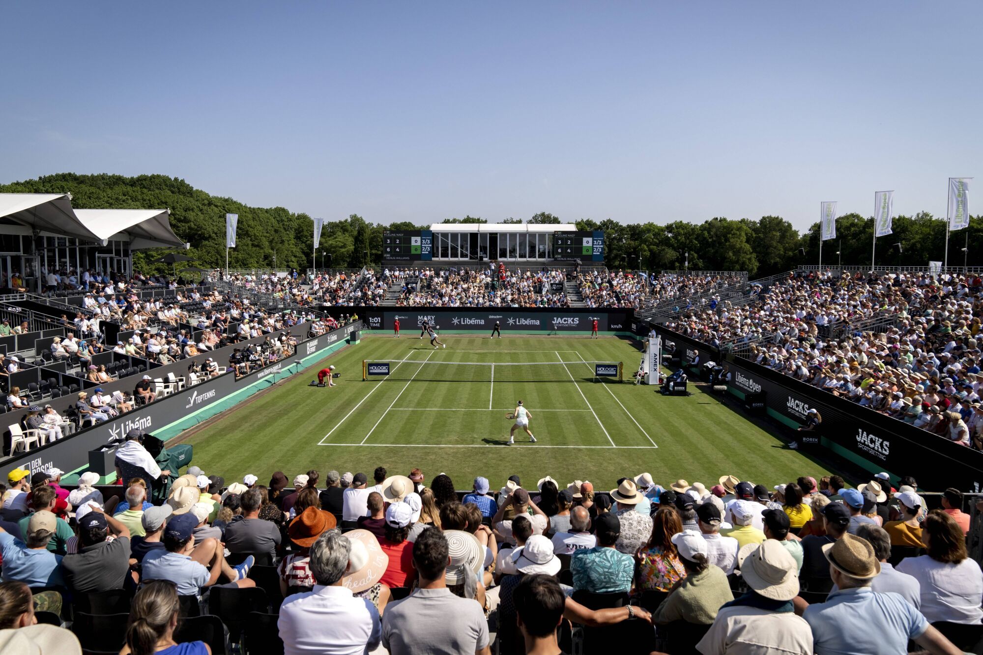 Jordan Thompson vs Milos Raonic Prediction and Odds: Rosmalen Open 2023 1 Rosmalen Open