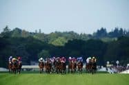 2023 Royal Ascot Free Bets: Get &pound;120 in betting offers right now