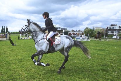 Where to Watch Belmont Stakes 2023 on TV and Live Stream