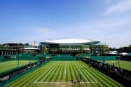 Wimbledon Draw 2024 Analysis and Potential Matchups