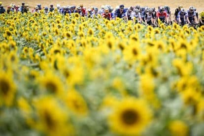 Tour de France Stage 11 Results – Another Sprint Victory for Jasper Philipsen