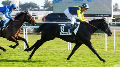 The Coral Summer Festival TV and Live Stream 2023