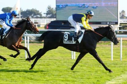 The Coral Summer Festival TV and Live Stream 2023