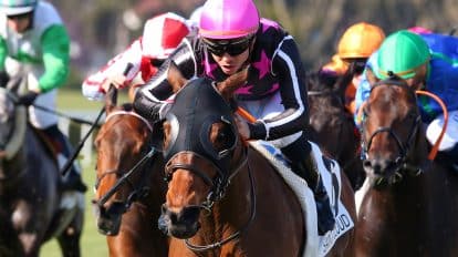 The Old Newton Cup Festival Tickets 2023 – How to Get Them?