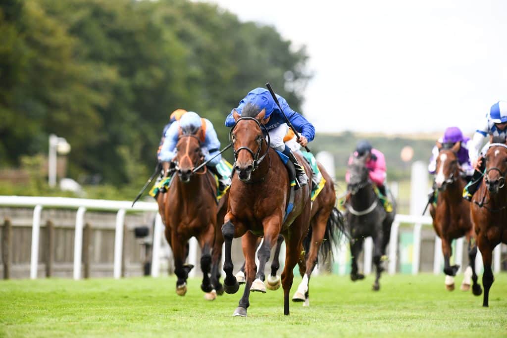 July Cup Stakes 2023 Betting Tips and Predictions 1 Tips for July Cup