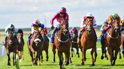 Bunbury Cup 2023 Odds and Favourites