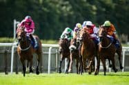 Bet365 Handicap Stakes 2023 Betting Tips and Predictions