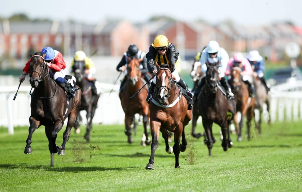 3.00 Newbury Tips: Three to get the each-way juices flowing 1 bet365 Hackwood Stakes