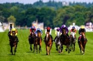 3.10 Curragh Tips: Lady to lead them to church