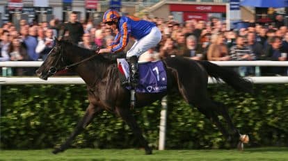 The Coral-Eclipse 2023 Horses and Riders