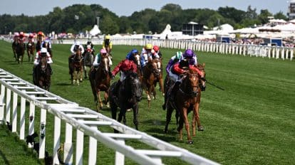 Old Newton Cup Handicap 2023 Horses and Riders